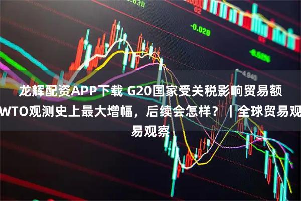 龙辉配资APP下载 G20国家受关税影响贸易额创WTO观测史上最大增幅,后续会怎样?|全球贸易观察