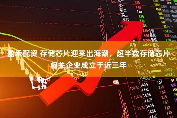 盈禾配资 存储芯片迎来出海潮，超半数存储芯片相关企业成立于近三年