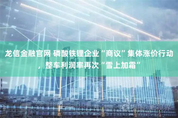 龙信金融官网 磷酸铁锂企业“商议”集体涨价行动，整车利润率再次“雪上加霜”